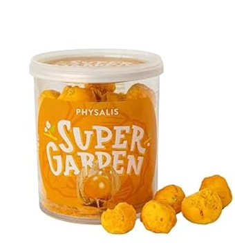 Freeze dried Golden Berries - Freeze Dried Fruit - Delicious & 100% Pure Dried Golden Berries Unsweetened– No Gluten, Preservatives or Added Sugar – Freeze Dried Food by   (0.88 oz)