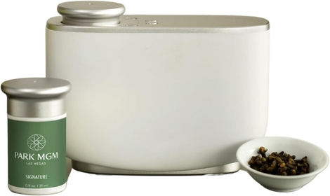 Room Diffuser Machine & Capsule - Luxury Hotel Scent - Waterless Air Freshener - Pear, Apple, Floral, Orange, Clove - Signature Scent