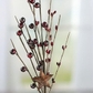 Burgundy Rust