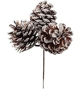 Larksilk White Tipped Pine Cone Spray with 3 Perfect 2.5" Pine Cones on Bendable, Sturdy 5" Wire ...