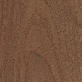 2 Black Walnut Thin Boards @ 1/4" x 8" x 24" each