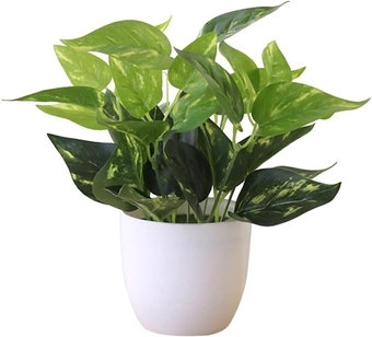 Potted Bonsai Eco-Friendly Decoration Lightweight Fadeless Ornamental Simulation Bonsai Wedding Decor 3