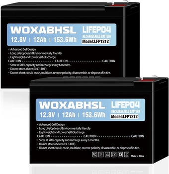 12V 12Ah LiFePO4 Lithium Battery, 2 Packs, 4000+ Deep Cycle Rechargeable Battery for Solar Power, UPS, Lighting, Scooters, Power Wheels, Fish Finder, Outdoor Camping etc. Built-in 12A BMS