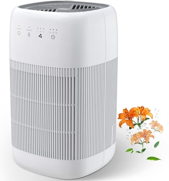 Air Purifier and Dehumidifier in 1, True HEPA Air Purifier with H13 HEPA Filter, Small Dehumidifier Combined with Air Cleaner, Remove Pet Odors Dust Smoke for Home, Bedroom, Bathroom