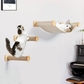 Cat Hammock Yellow