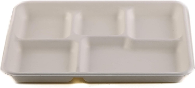 [600 Pack] 5-Compartment Sugarcane Fiber Disposable Tray - 100% Compostable American Tray, Serving Tray, Cafeteria Tray, Biodegradable, EcoFriendly, Tree Free by  (10x8.3x0.9 inch)