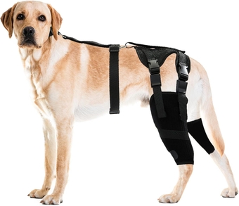Dog Double Knee Brace, Support for Torn ACL Hind Leg, Luxating Patella, Relieve Arthritis Pain and Inflammation, with Side Stabilizers,Harness and Connection Belt, for Two Back (XX-Large)
