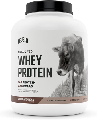 Grass Fed 100% Whey Protein, No Hormones, Chocolate Mocha, 5LB