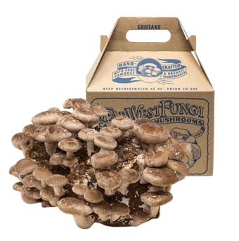 Shiitake Mushroom Mini-m Grow Kit, 5lbs, Non-GMO, Easy to Use, Grow Your Mushrooms at Home, Produced by Real mers in California.