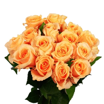 50 Yellow Rose- Flowers Delivery