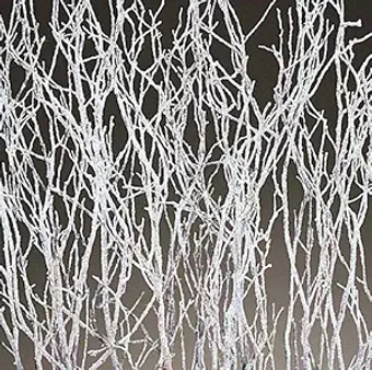 Dried Sweet Huck Branches - White Sparkle bunch Large 4 oz Bunch About 24 branches 22-26in. tall - Single Bunch