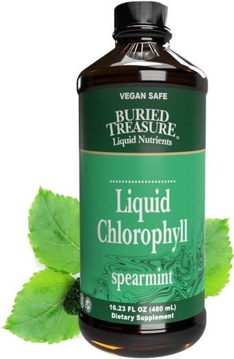 Liquid Chlorophyll 100 mg Dietary Supplement, Energy Boost Immune Support Detox Intestinal Digestive Support Natural Body Deodorant Vegan Non-GMO Alcohol Free Spearmint Flavor,16 oz