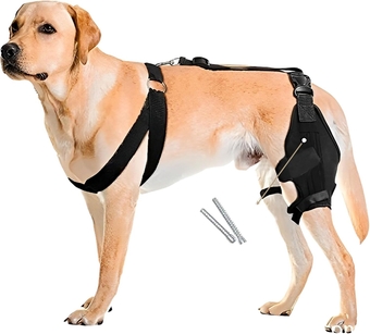 Dog Knee Brace,Dog Hip Brace,Canine Knee,Used to Assist in Recovery from Injuries,Anterior Cruciate Ligament Torn ACL Hind Leg Joint Pain Muscle Sore Pet Brace Reduces Pain and Inflammation (Size：M)