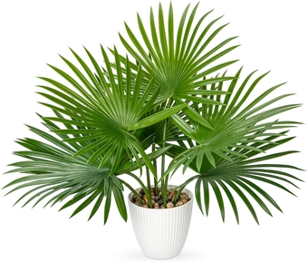 Artificial Palm Plant 15 Inch Fake Tropical Potted Plants Faux Palm Leaves in Pot for Home Indoor Tabletop Centerpieces Living Room Bedroom Decoration
