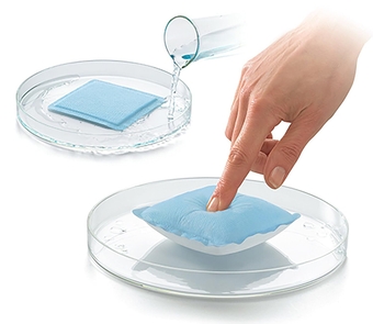 Lohmann & Rauscher Flivasorb Wound Absorbent Pad, Sterile & Individually Sealed Non-Adherent Padding for Gentle Wound Dressing & Absorption, Absorbs 20 Times Its Weight, 4" x 4" Square, Box of 10