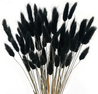 60pcs Dried Bunny Tails Flowers Black Pampas Grass Dried Flowers Bulk Natural Lagurus Ovatus Dried Floral Arrangement Dry Flowers for Boho Home Wedding DIY Craft Decoration (16")