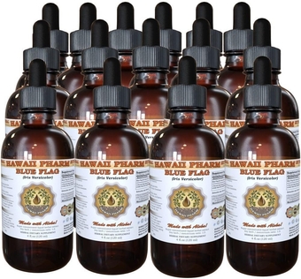 Blue Flag (Iris versicolor) Liquid Extract 15x4 oz