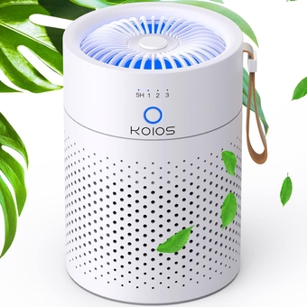 Air Purifiers for Bedroom Home,  H13 True HEPA Filter Air Purifiers for Desktop Office Car Pets with USB Cable, Small Air Cleaner, Night Light, Timer, Remove Smoke, Dust, Odors, Pollen