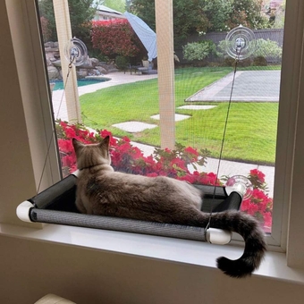 Cat Hammocks for Window - Seat Suction Cups Space Saving Cat Bed, Pet Resting Seat Safety Cat Window Perch for Large Cats, Providing All Around 360° Sunbath for Indoor, Weighted up to 33lbs