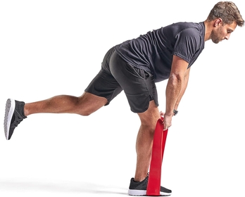 Sunny Health & Fitness Strength Training Band (Single) - 100 lb, 140 lb, 160 lb, and 180 lb