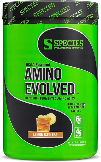 Amino Evolved EAA & BCAA Powder, Fermented Amino Acids, Branched Chain Amino Acid Muscle Recovery & Endurance, Pre & Post Workout Supplement (Lemon Iced Tea, 30 Servings)