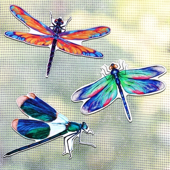 6 Pieces Dragonfly Screen Magnets Magnetic Flexible Screen Door Protector Decorative Screen Door Magnets Double Sided Screen Magnets Decor Refrigerator Magnets for Screen Sliding Doors(Fresh Style)