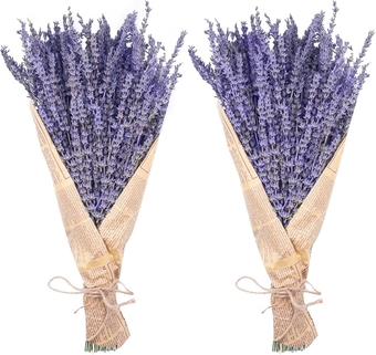 Dried Lavender Bundles,  Natural Dried Lavender Flowers 280-300 Stems 16“ for Home Weeding Decoration Flower Arrangements Home Fragrance 2 Bundles