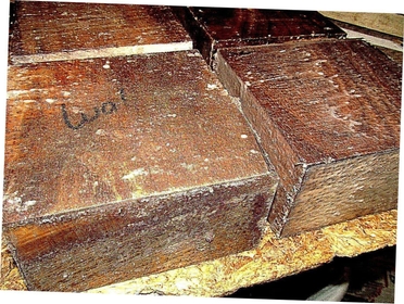 Two B Grade Black Walnut Bowl Blanks Lathe Turning Wood Lumber 6" X 6" X 3" Suitable Wood Pieces for Wood Crafts and Projects
