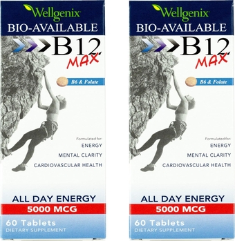 Bio-Available Sublingual B12 Max - Formulated for High Absorption - Nutritional Multivitamin B12, B6, Folate - Fast Dissolve (60 Ct) 2 Pack