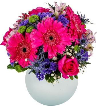 Moonlight | Aquabloom Fresh Flower Arrangement with Vase | Designed by Arabella Bouquets | Flowers for Mother's Day, Anniversary, Get Well, Just Because, Congratulations, Romance
