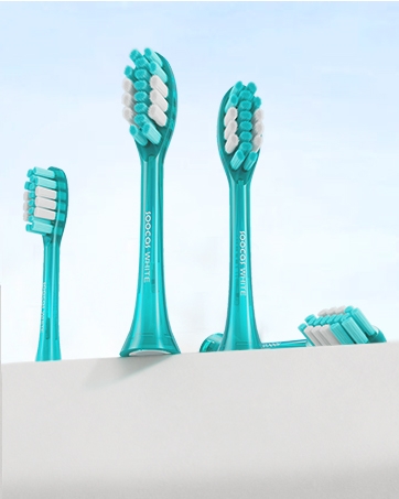 Toothbrush Head