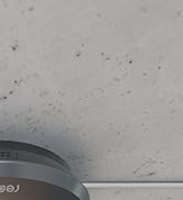 REOLINK PoE IP Fisheye Camera