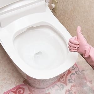 Toilet tank flush